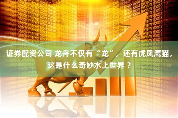 证券配资公司 龙舟不仅有 “龙”，还有虎凤鹰猫，这是什么奇妙水上世界 ？