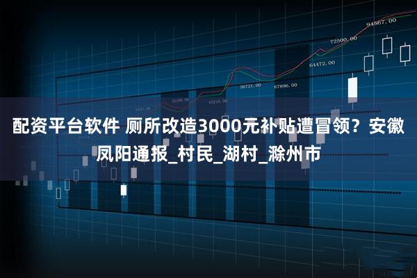 配资平台软件 厕所改造3000元补贴遭冒领？安徽凤阳通报_村民_湖村_滁州市
