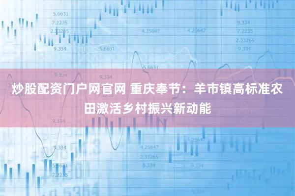 炒股配资门户网官网 重庆奉节：羊市镇高标准农田激活乡村振兴新动能