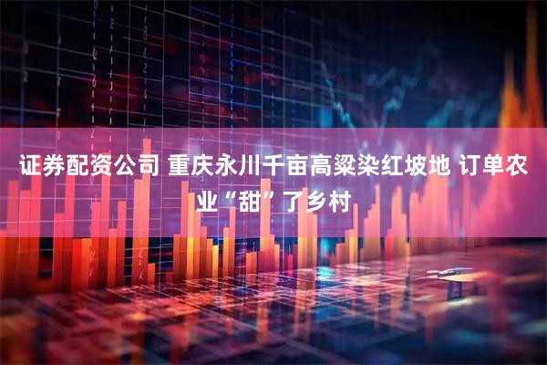 证券配资公司 重庆永川千亩高粱染红坡地 订单农业“甜”了乡村