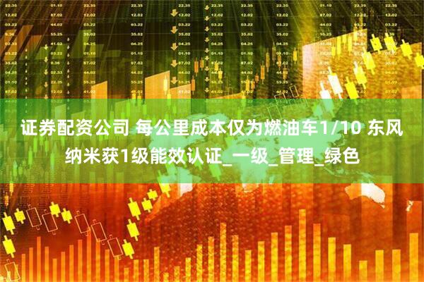 证券配资公司 每公里成本仅为燃油车1/10 东风纳米获1级能效认证_一级_管理_绿色