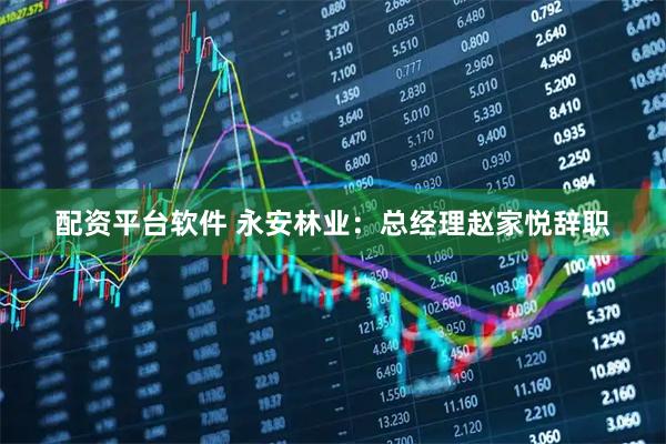 配资平台软件 永安林业：总经理赵家悦辞职